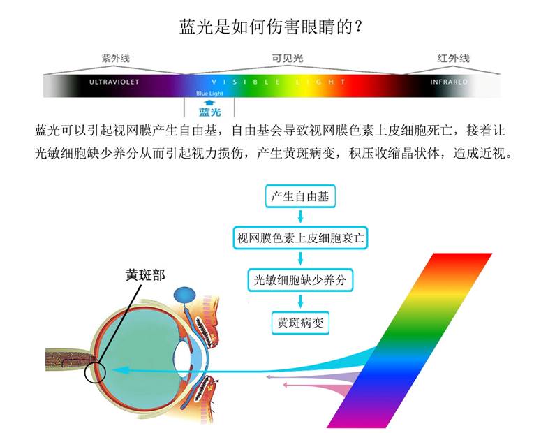 蓝光危害分析